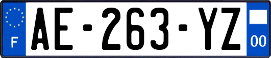 AE-263-YZ