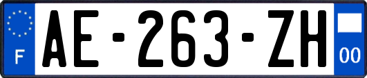 AE-263-ZH