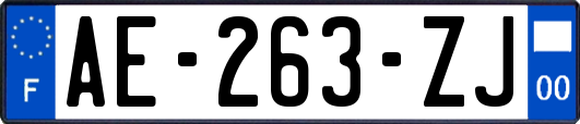 AE-263-ZJ