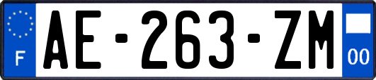 AE-263-ZM