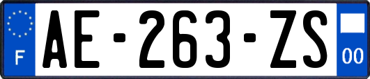 AE-263-ZS