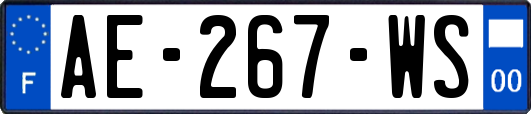 AE-267-WS