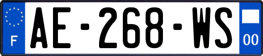 AE-268-WS
