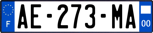 AE-273-MA