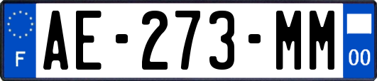 AE-273-MM