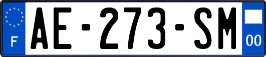 AE-273-SM