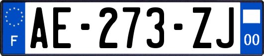 AE-273-ZJ