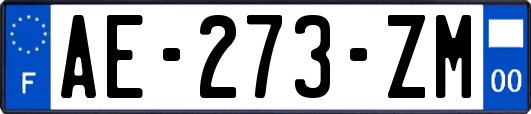 AE-273-ZM