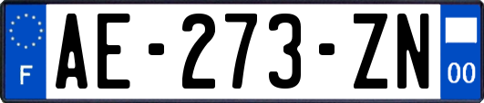 AE-273-ZN