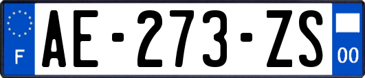 AE-273-ZS