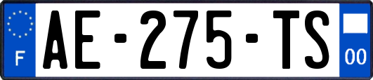 AE-275-TS