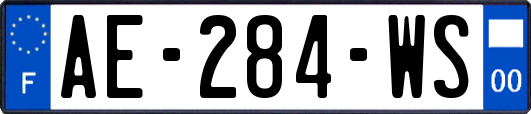 AE-284-WS