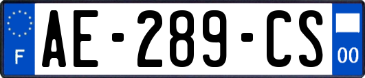 AE-289-CS