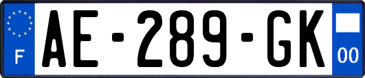 AE-289-GK