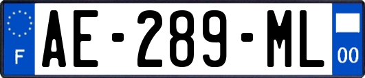 AE-289-ML