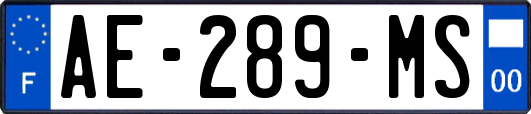 AE-289-MS