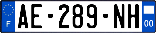 AE-289-NH