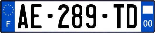 AE-289-TD