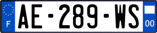 AE-289-WS