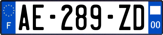 AE-289-ZD