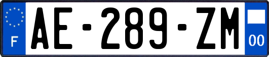 AE-289-ZM