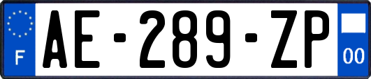 AE-289-ZP