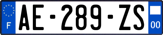 AE-289-ZS