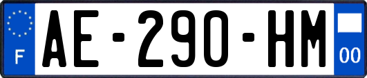 AE-290-HM