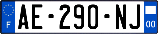 AE-290-NJ