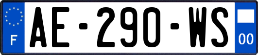 AE-290-WS