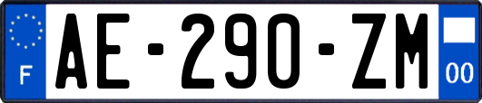 AE-290-ZM