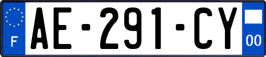 AE-291-CY