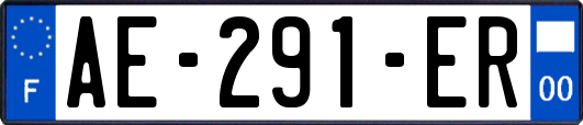 AE-291-ER