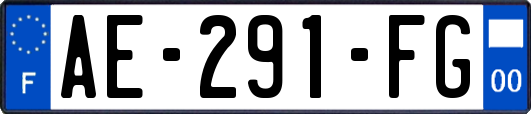 AE-291-FG