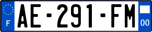 AE-291-FM