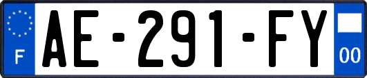 AE-291-FY
