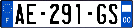 AE-291-GS