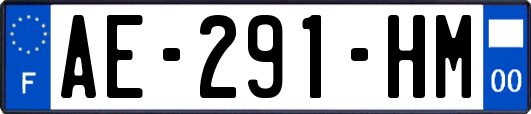 AE-291-HM