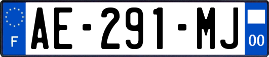AE-291-MJ