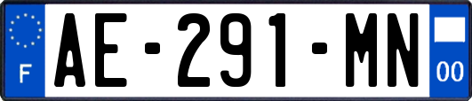 AE-291-MN