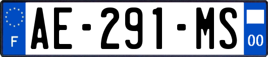 AE-291-MS