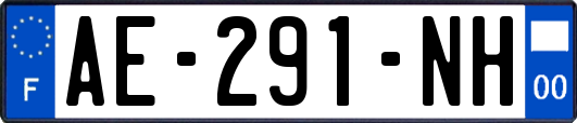 AE-291-NH