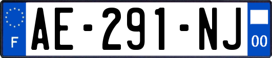 AE-291-NJ