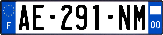 AE-291-NM