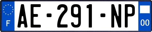 AE-291-NP