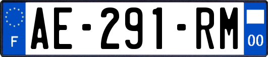 AE-291-RM