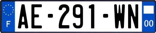 AE-291-WN