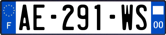 AE-291-WS