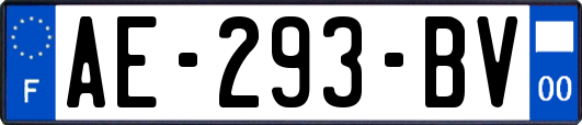 AE-293-BV