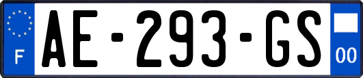 AE-293-GS